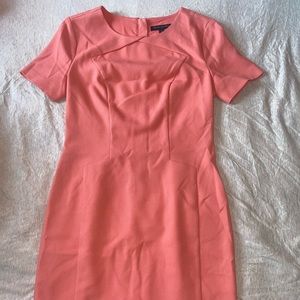 Salmon Dress